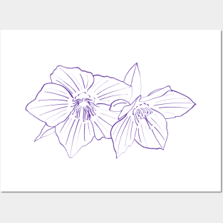 Purple Hellebores Posters and Art